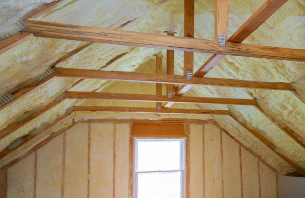 Professional Insulation Contractor in Cuero, TX