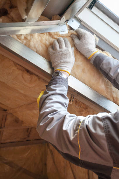 Best Spray Foam Insulation  in Cuero, TX